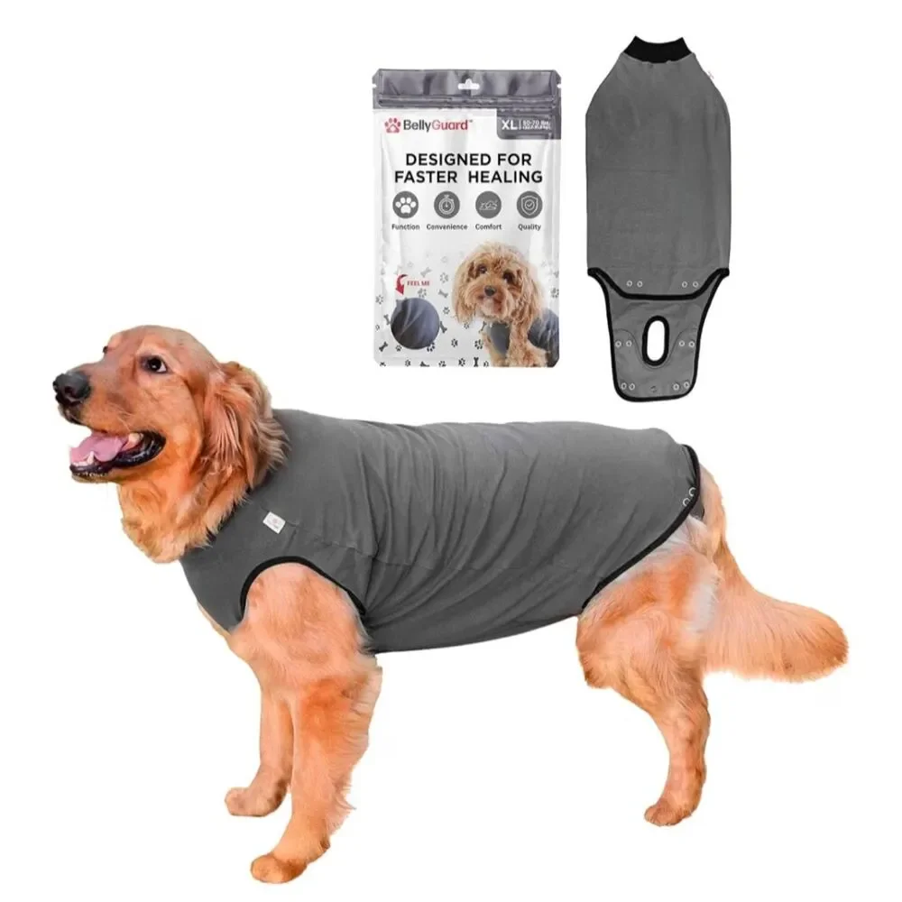 BellyGuard dog surgical